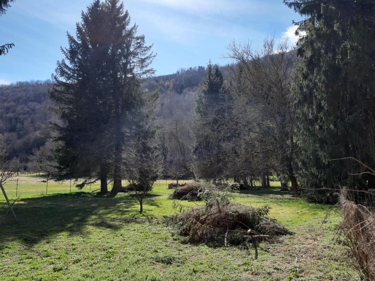 Chalet Tout Confort Proche D Ax 3 Domaines Vebre Екстериор снимка