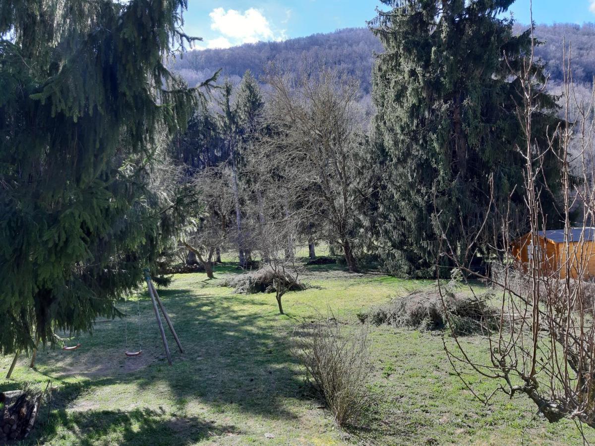 Chalet Tout Confort Proche D Ax 3 Domaines Vebre Екстериор снимка