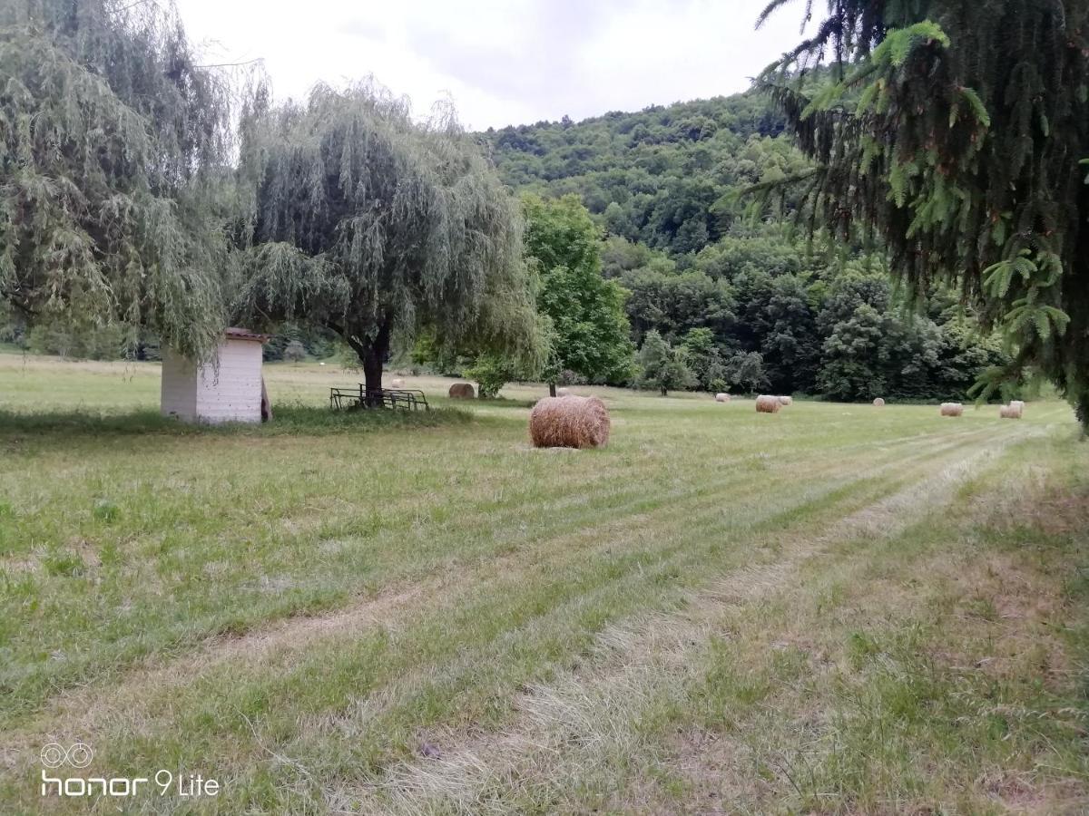 Chalet Tout Confort Proche D Ax 3 Domaines Vebre Екстериор снимка